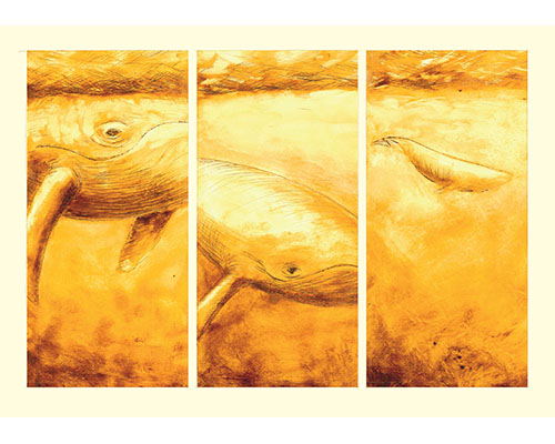 Velryba, 46 x 35 cm v rámu s paspartou, Cena: 9 000 Kč